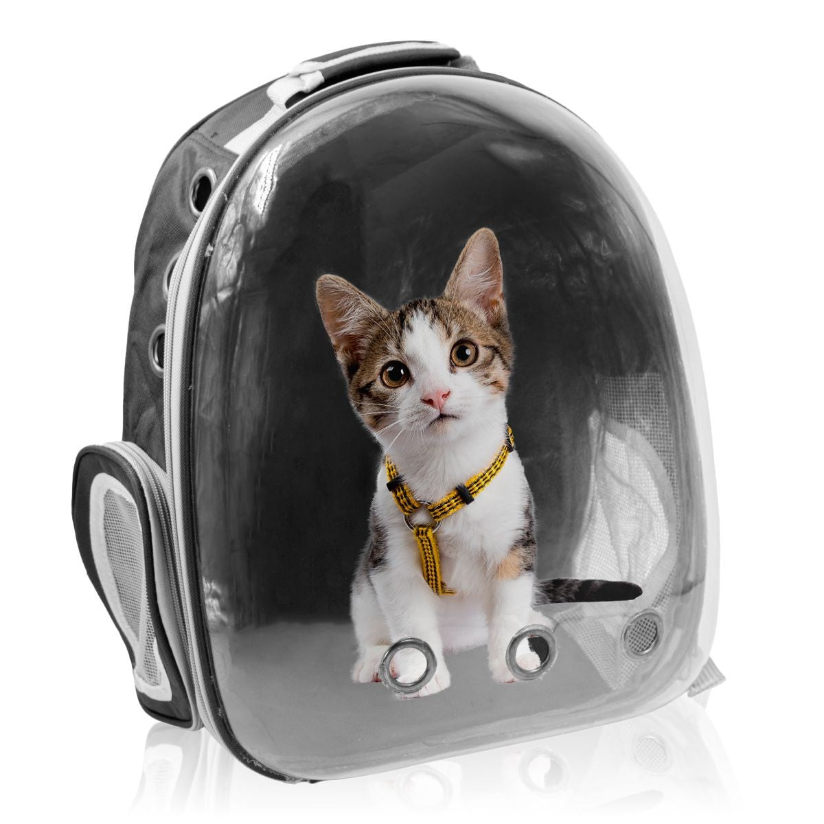 Mochila Pet Visão Panorâmica - Modelo Astronauta Azul